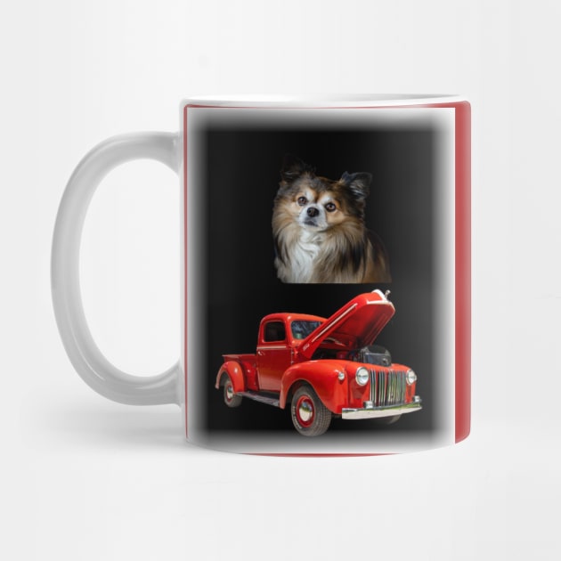 dog and car by KA&KO